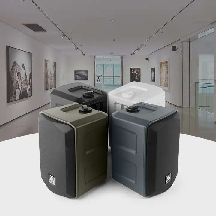 Commercial loudspeakers — architectural install in a gallery
